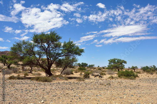 Namibian landscape, Africa