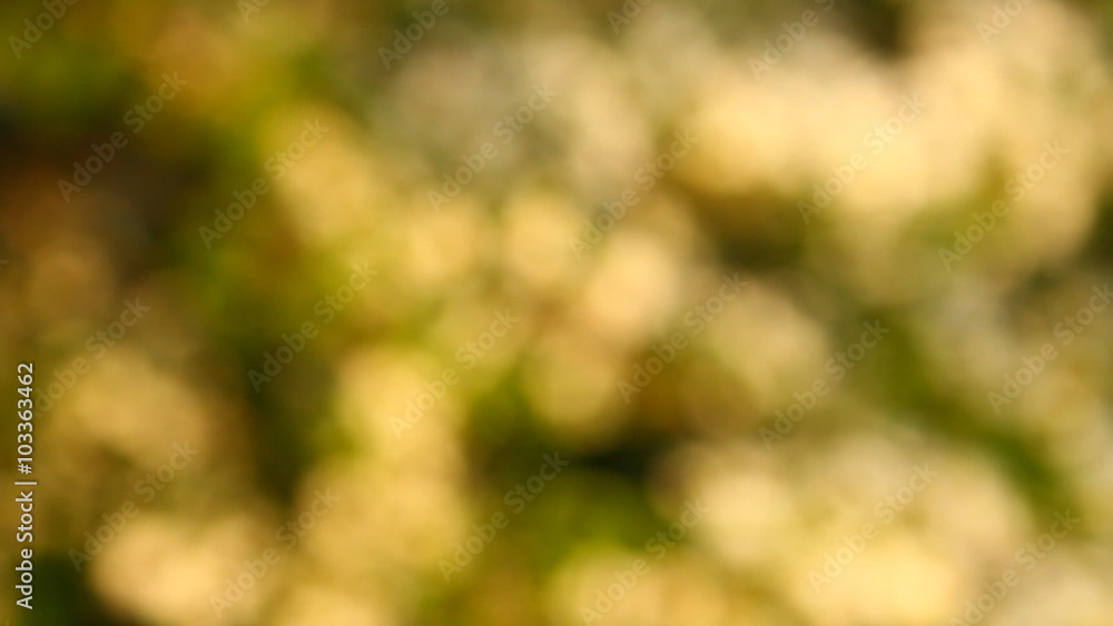 abstract background of light spots bokeh abstract background of light spots bokeh