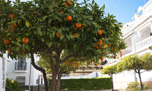 Foto Architecture in Nerja on the Costa del Sol Spain