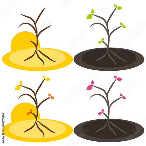 Nature tree symbol illustration