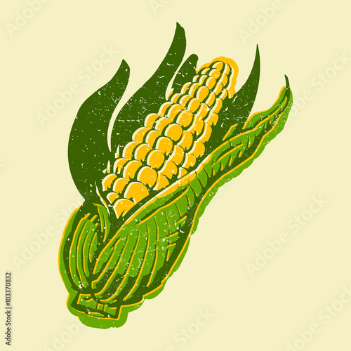 Corn vector icon