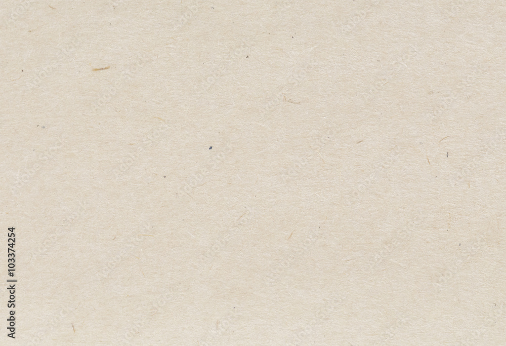 Fototapeta premium recycled paper