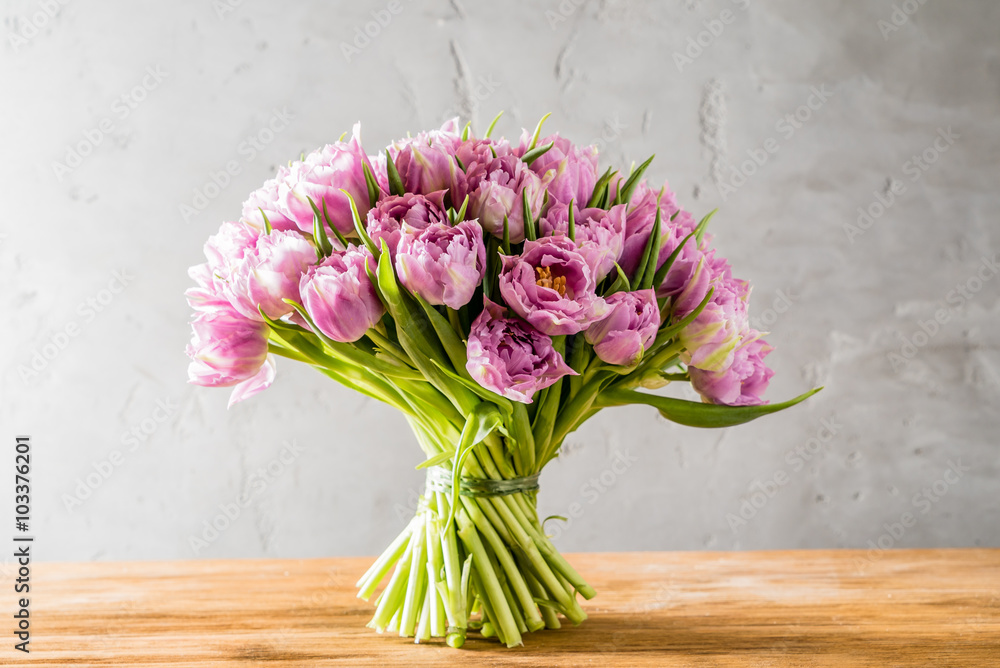 pink tulips pink tulips