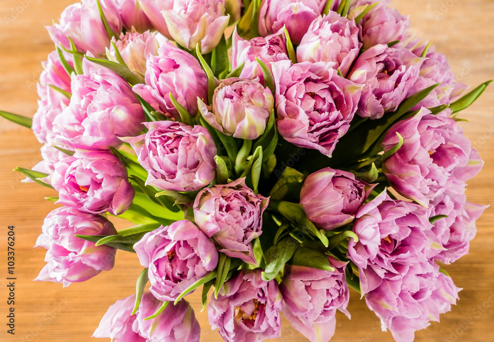 Fototapeta premium pink tulips