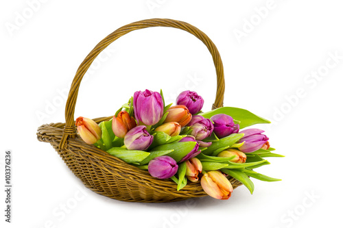 Fototapeta Naklejka Na Ścianę i Meble -  colourful tulips in a basket