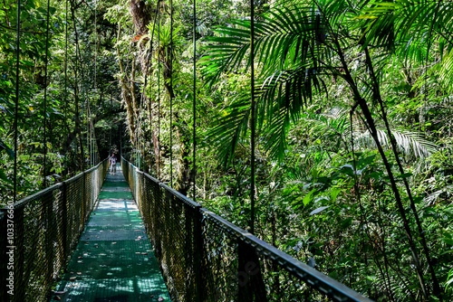 Fototapeta Naklejka Na Ścianę i Meble -  Hanging Bridges in Cloudforest - Costa Rica