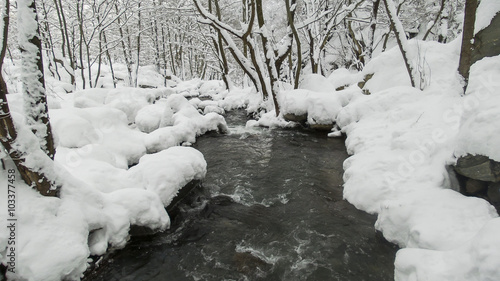 Kar ve nehir