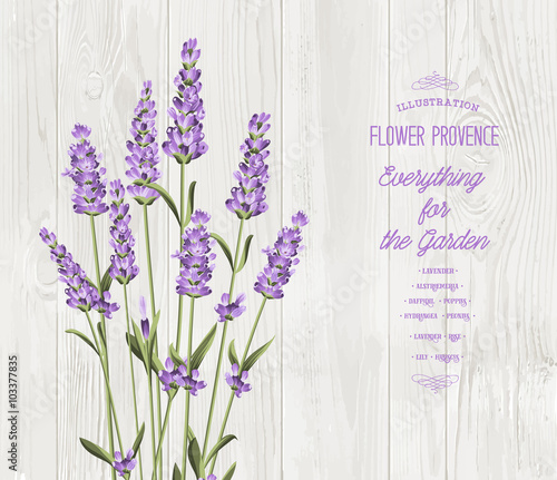 The lavender bouquet.