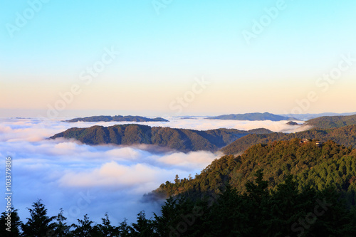 天空の城 備中松山城 -雲海- © photojapan