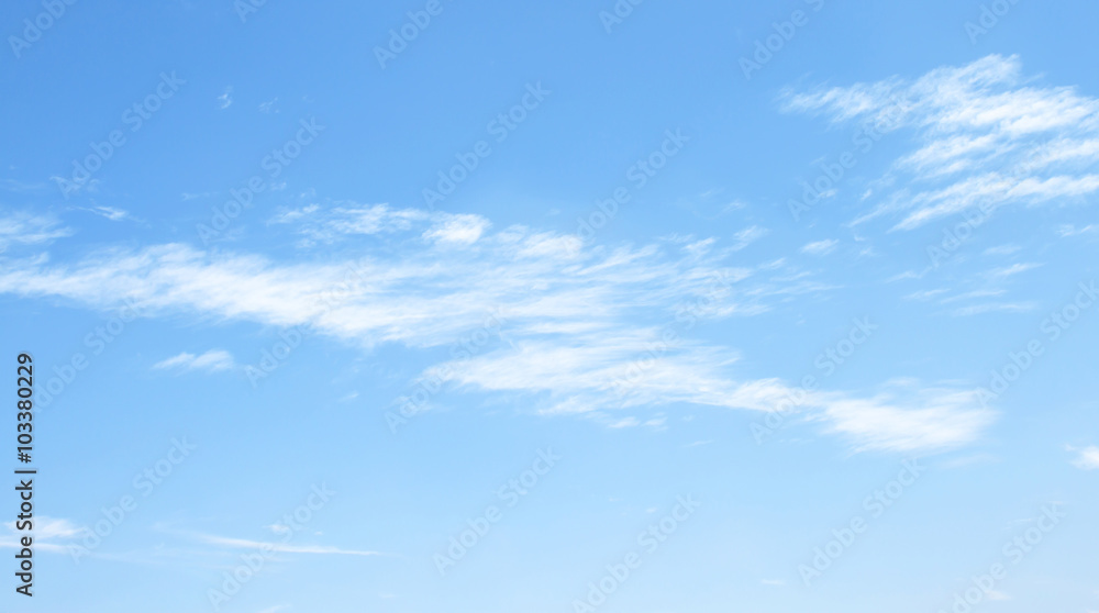 Fototapeta premium blue sky