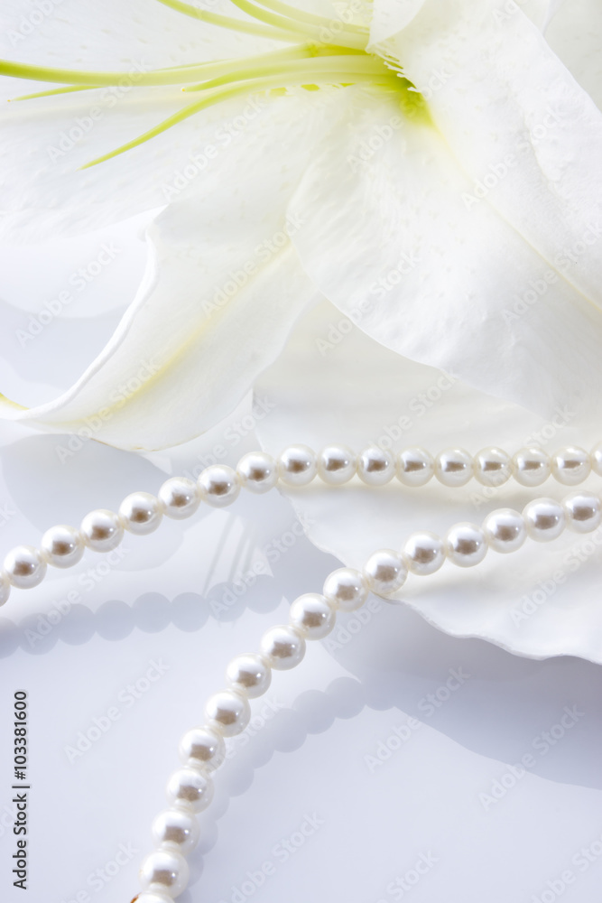 ユリと貝殻と真珠