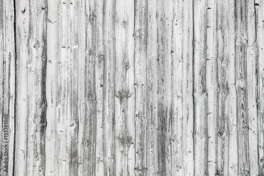 Wood pine plank white texture background Wood pine plank white texture background
