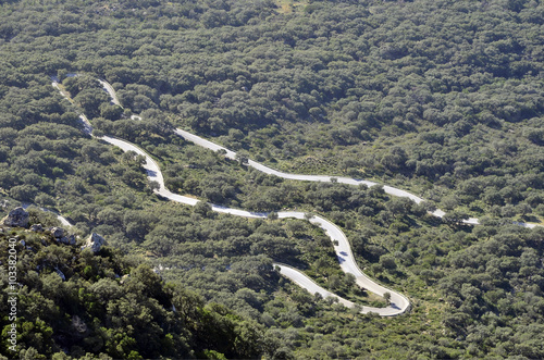 Carretera atravesando el bosque del Parque Natural de los Alcornocales. Cádiz. España.