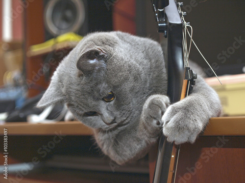 The guitar must be set up again!