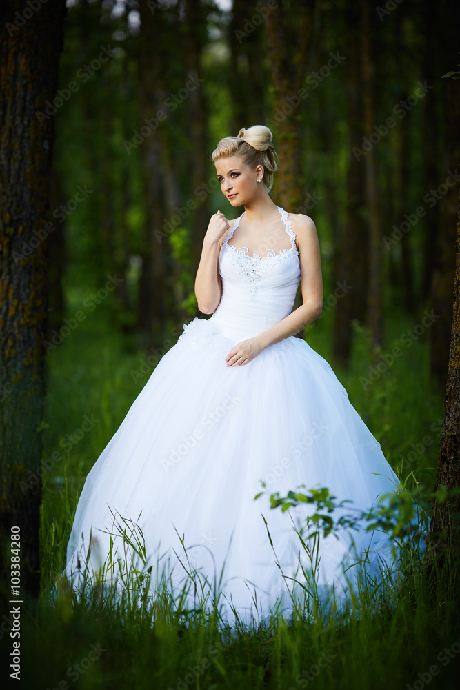 beautiful young blonde bride