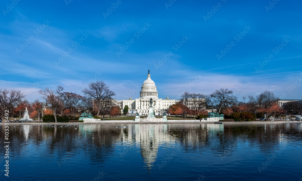 Fototapeta premium United States Capitol Building in Washington DC
