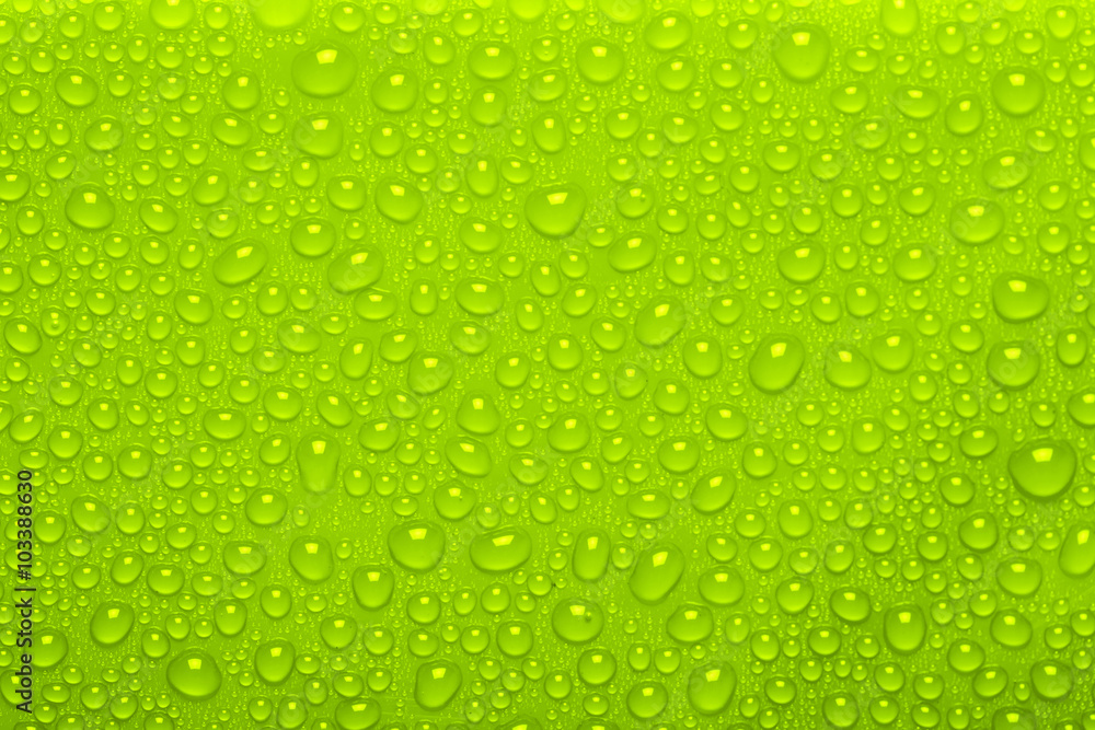 Water Drops On Green Background