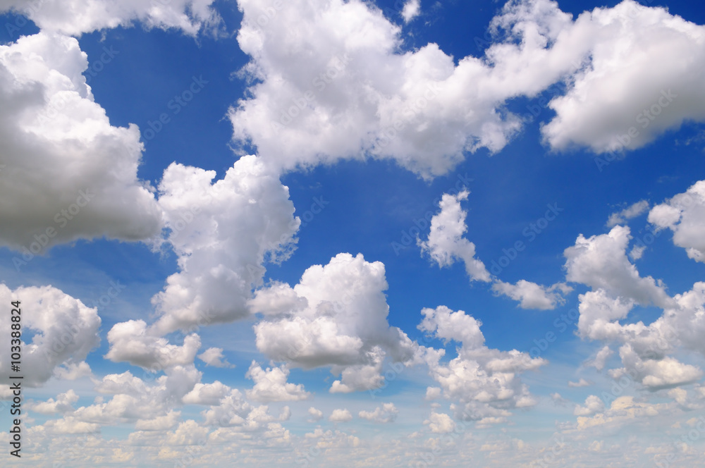 cumulus clouds in the blue sky - obrazy, fototapety, plakaty 
