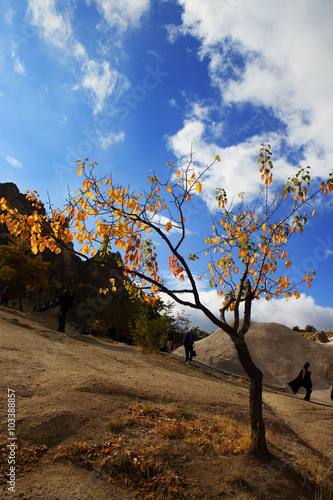 Autumn in Capadoccia, Anatolia
