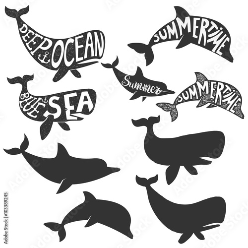 deep sea. Summertime. Dolphin and whales silhouettes with letter