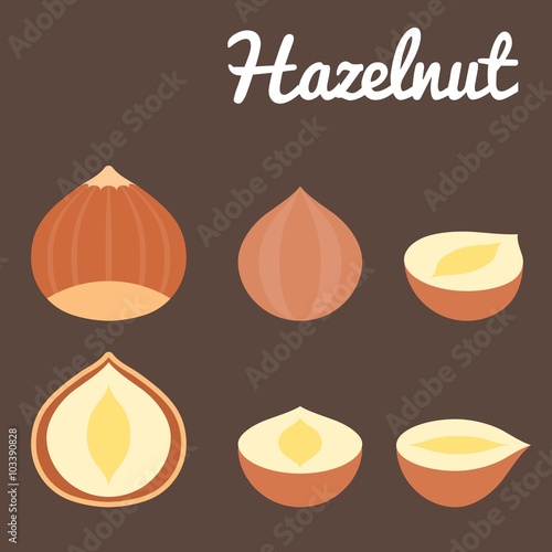 Vector hazelnut, flat design