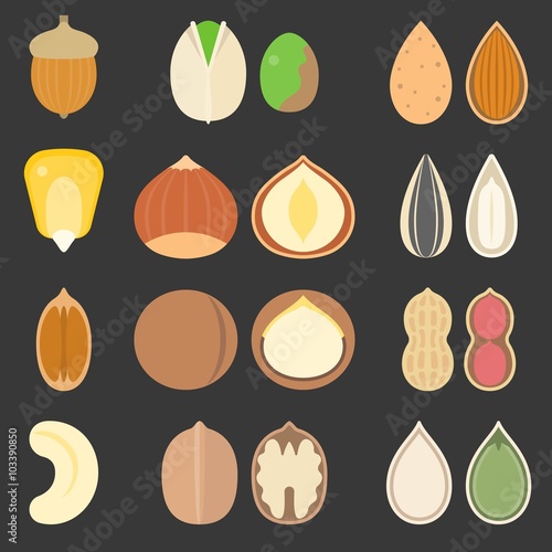 Vector nutshell and seeds icons set, flat design