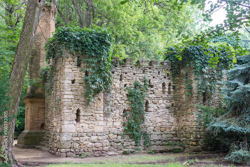 Fototapeta Naklejka Na Ścianę i Meble -  Castle in the forest overgrown with wild grapes, ancient castle with ghosts,