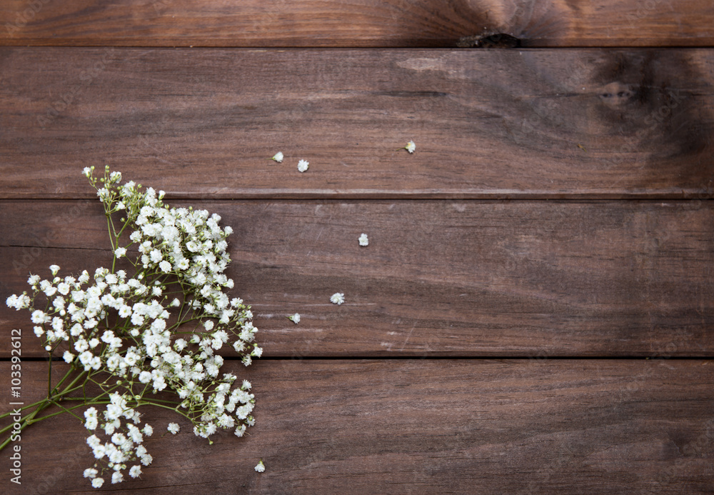beautiful baby's breath beautiful baby's breath