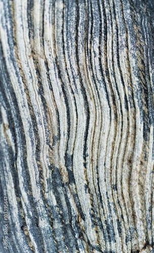 Texture on the rocks macro detail