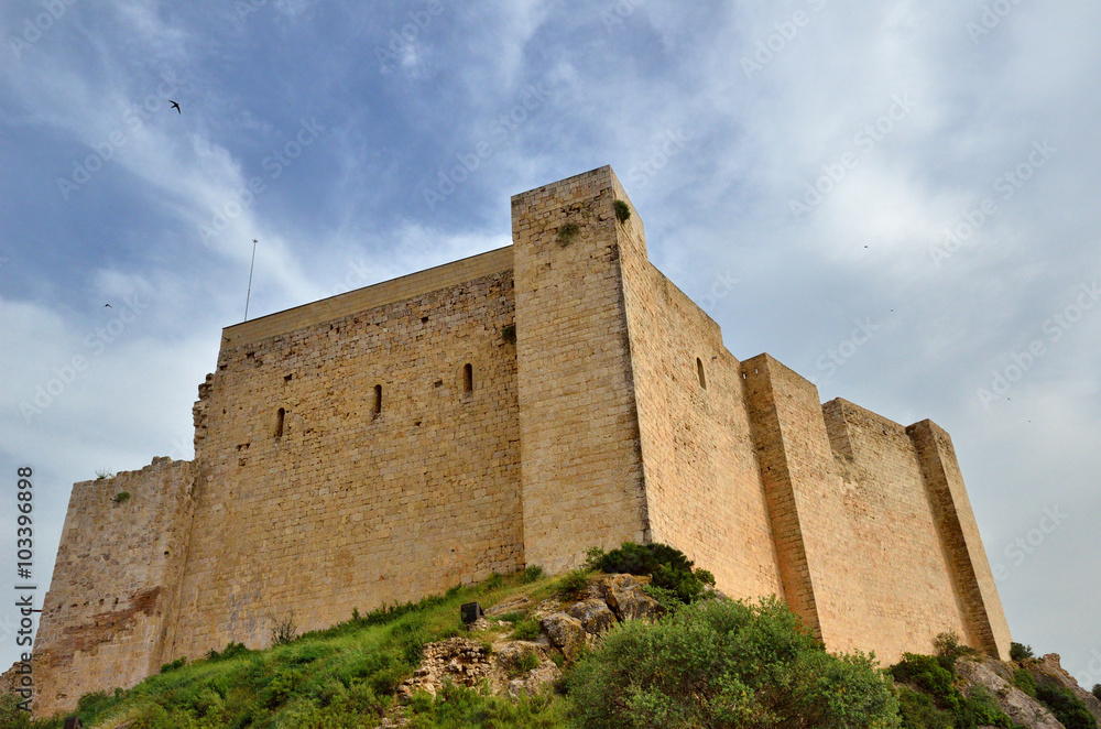 Medieval fortress Miravet