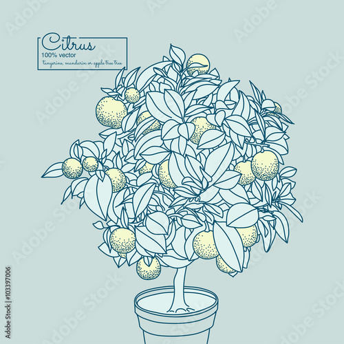 Drawing of a small lemon citrus tree in a pot in contour style photo