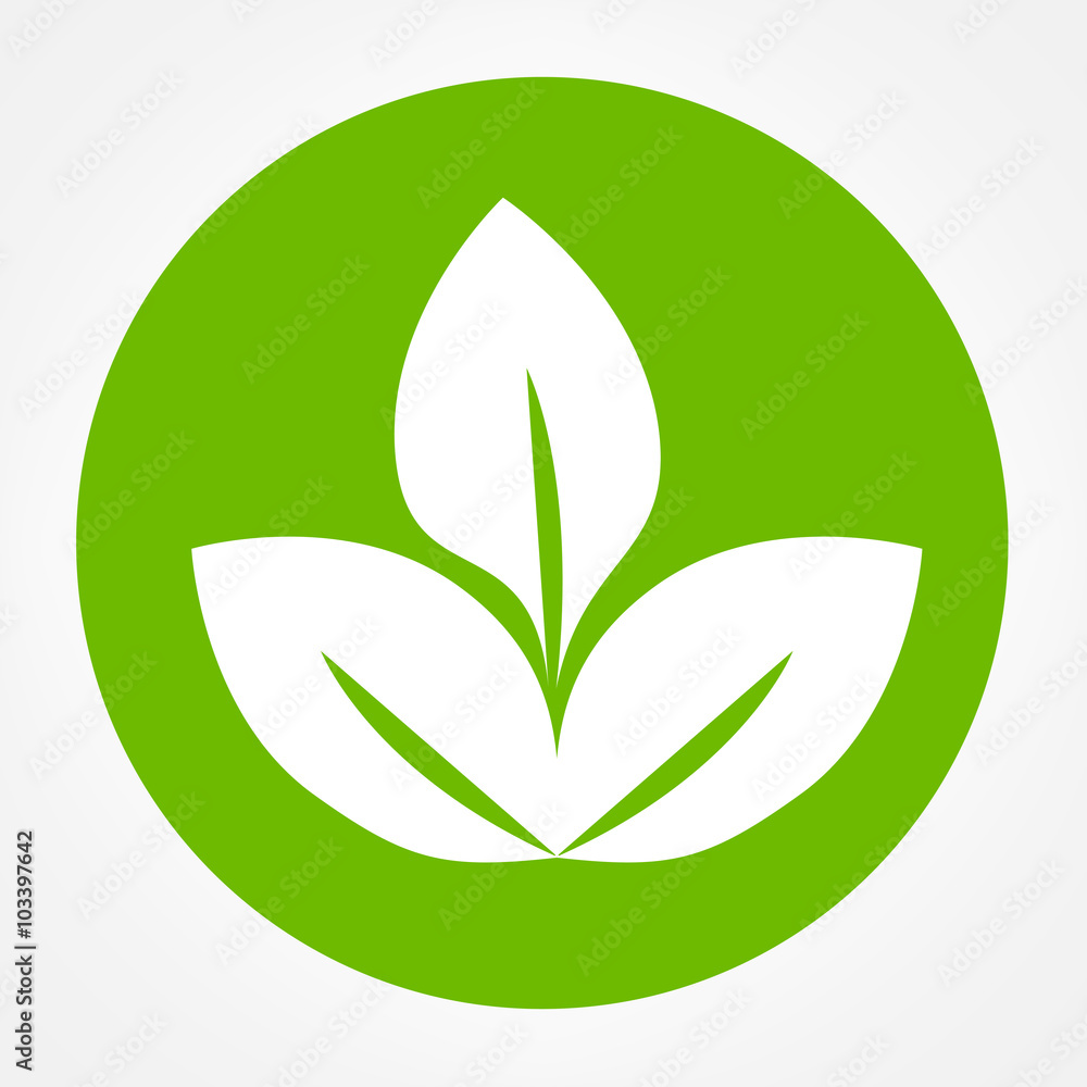 Eco symbol green leaf vector illustration Eco symbol green leaf vector illustration