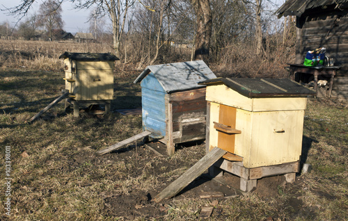 Old color bee hives in spring.