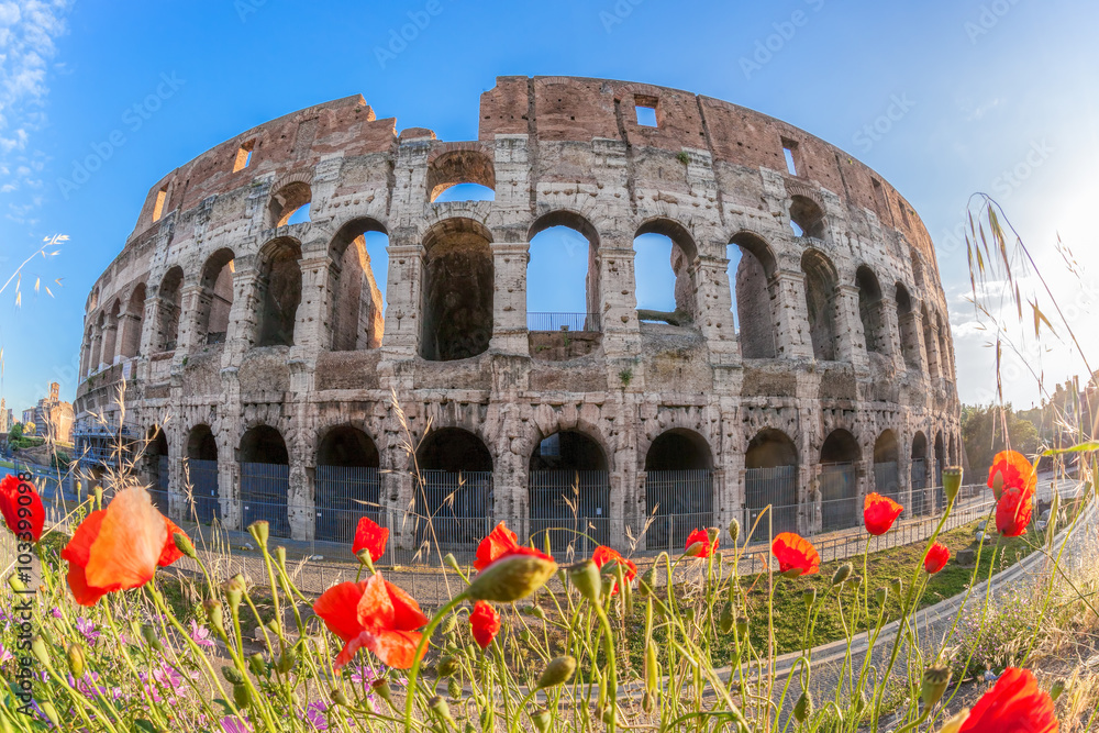 Obraz premium Colosseum with spring flowers in Rome, Italy