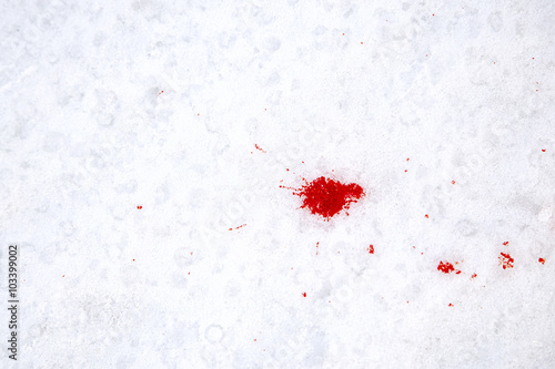Blood on the snow