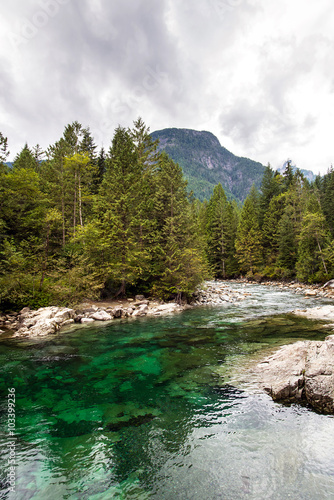 amazing emerald waters of a quiet river in the middle of a forest of pines trees in the rocky mountains of british columbia