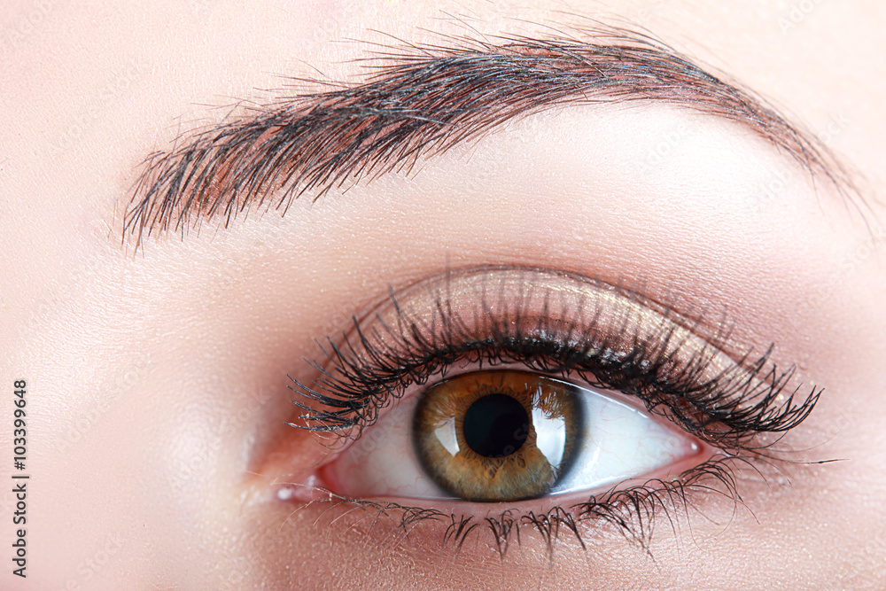 Naklejka premium brown eye