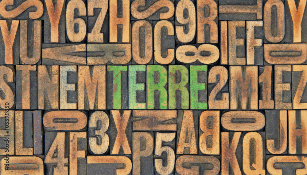 Terre / caracteres d'imprimerie en bois Terre / caracteres d'imprimerie en bois