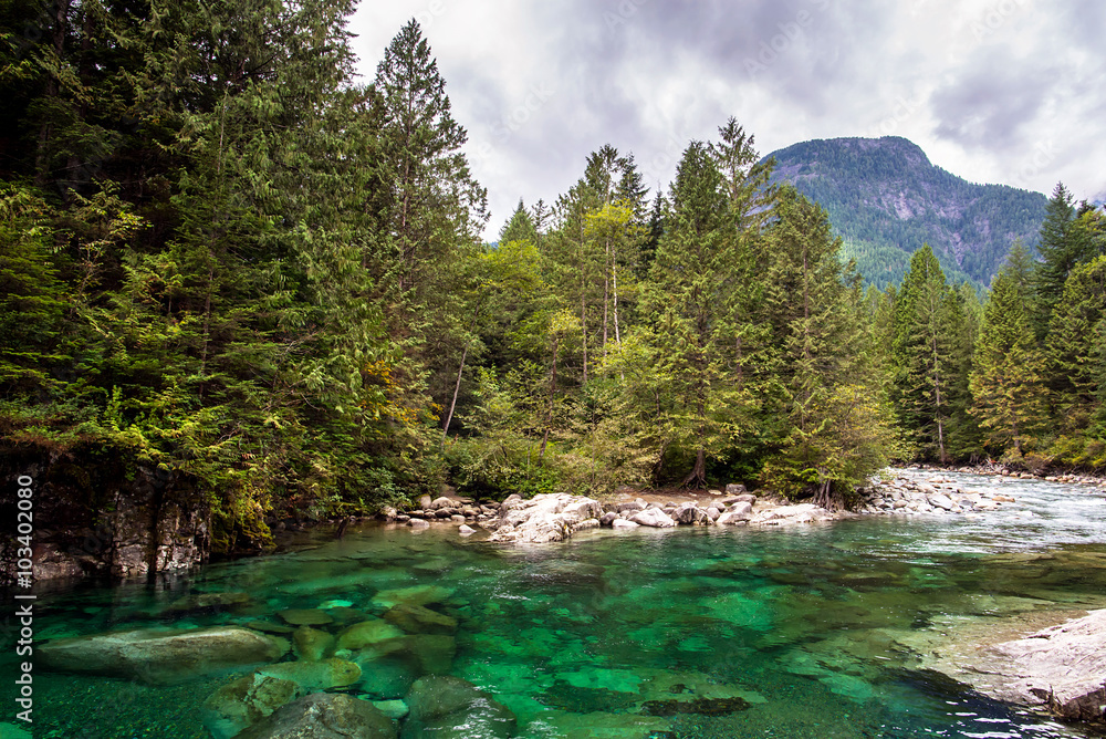 amazing emerald waters of a quiet river in the middle of a forest of pines trees in the rocky mountains of british columbia amazing emerald waters of a quiet river in the middle of a forest of pines trees in the rocky mountains of british columbia