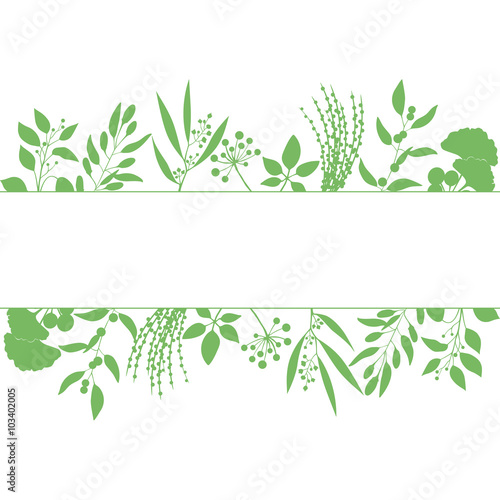 Wallpaper Mural Green rectangle frame with collection of plants. Silhouette of branches isolated on white background Torontodigital.ca