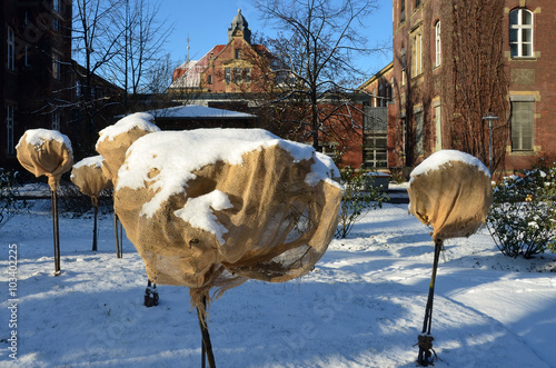 Fototapeta Naklejka Na Ścianę i Meble -  winterschutz