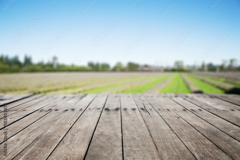 wood floor with countryside background wood floor with countryside background