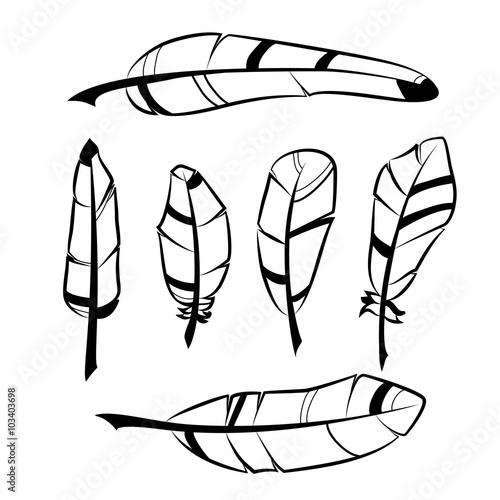 Set of hand drawn feathers isolated on white background.