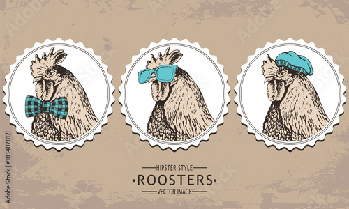 hand-drawn vector vintage hipster style rooster 