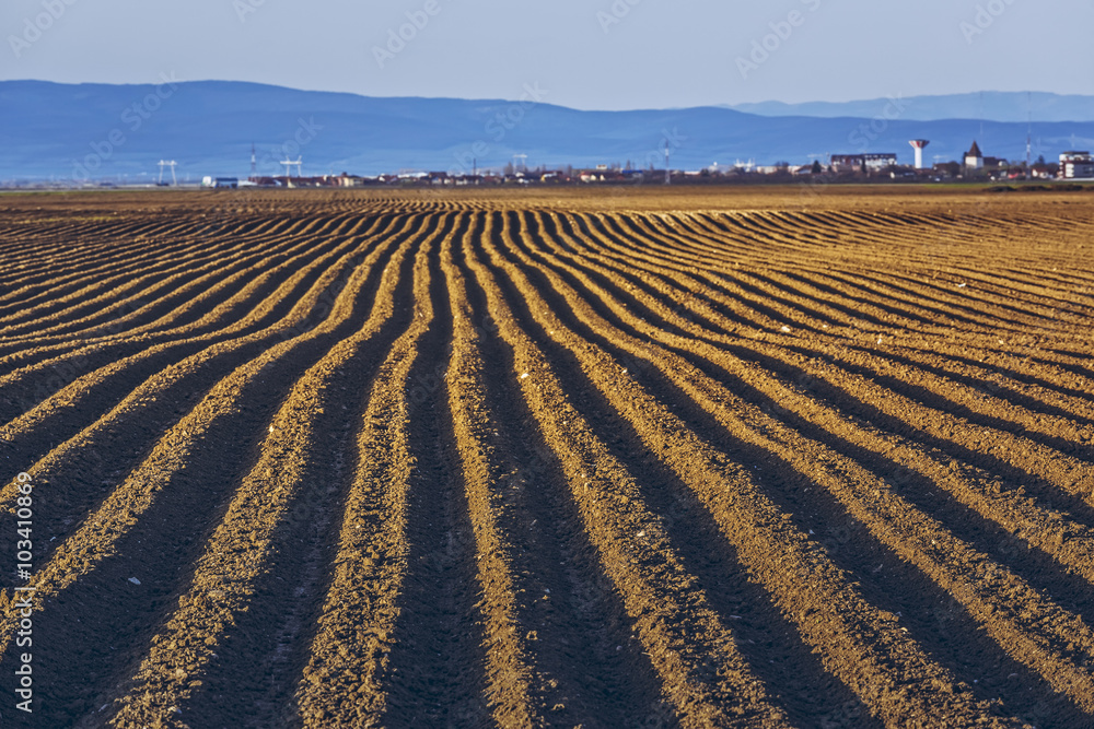 Furrows row pattern in a plowed land prepared for planting potatoes crops in spring in Transylvania region, Romania.