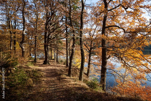 Wanderweg am Möhnesee