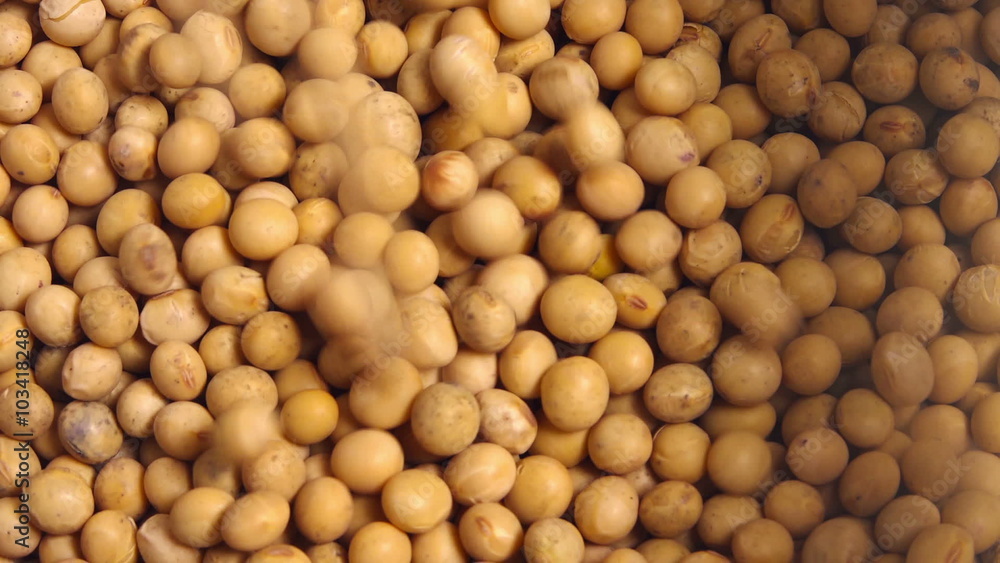 Harvested soybeans falling in the sack, top view close up footage Harvested soybeans falling in the sack, top view close up footage