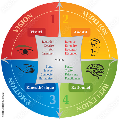 Diagramme 4 Styles Apprentissage / Communication en Français - NLP Coach 