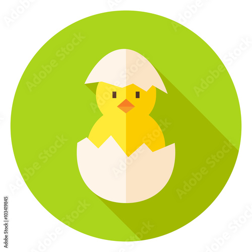 Hatched Chicken in Eggshell Circle Icon