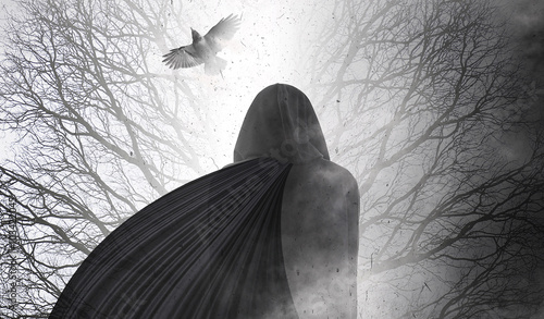 Photography Woman in black going in the foggy forest - gothic style